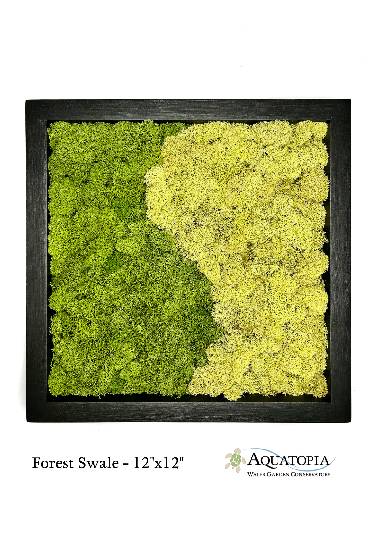 Framed Moss Wall 12" x 12" - Forest Swale
