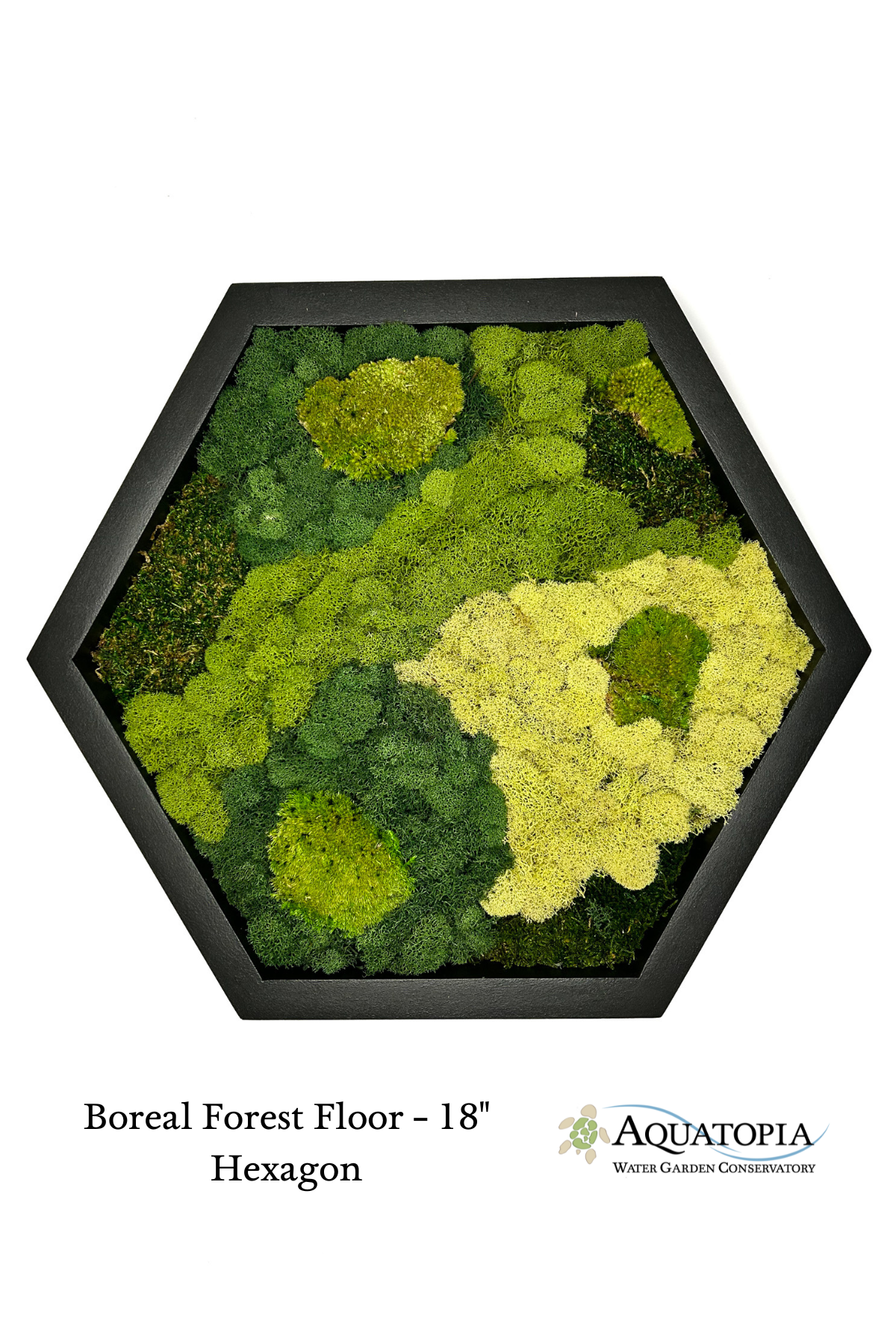 Framed Hexagon Moss Wall 18&quot;