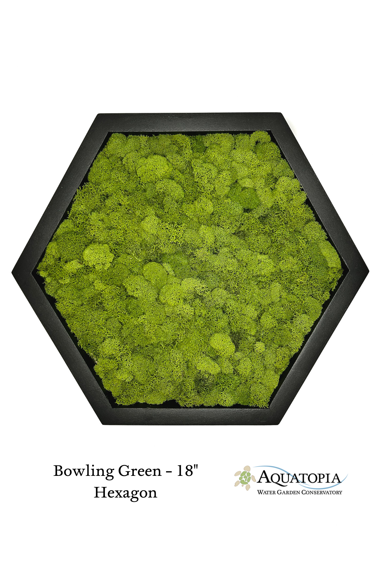 Framed Hexagon Moss Wall 18" - Bowling Green