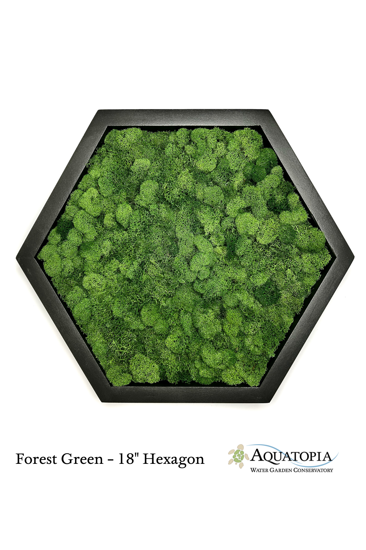 Framed Hexagon Moss Wall 18" - Forest Green