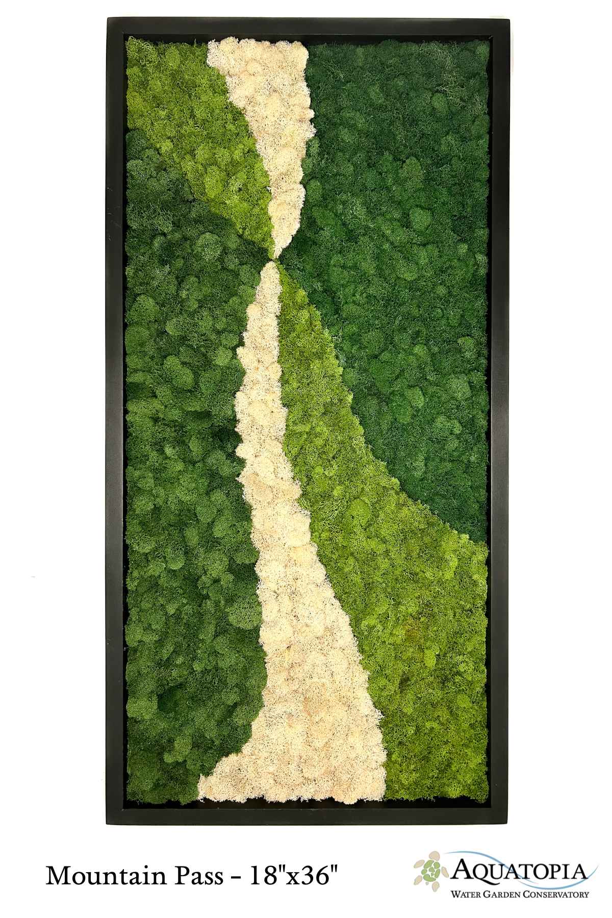 Framed Moss Wall 18" x 36" - Mountain Pass