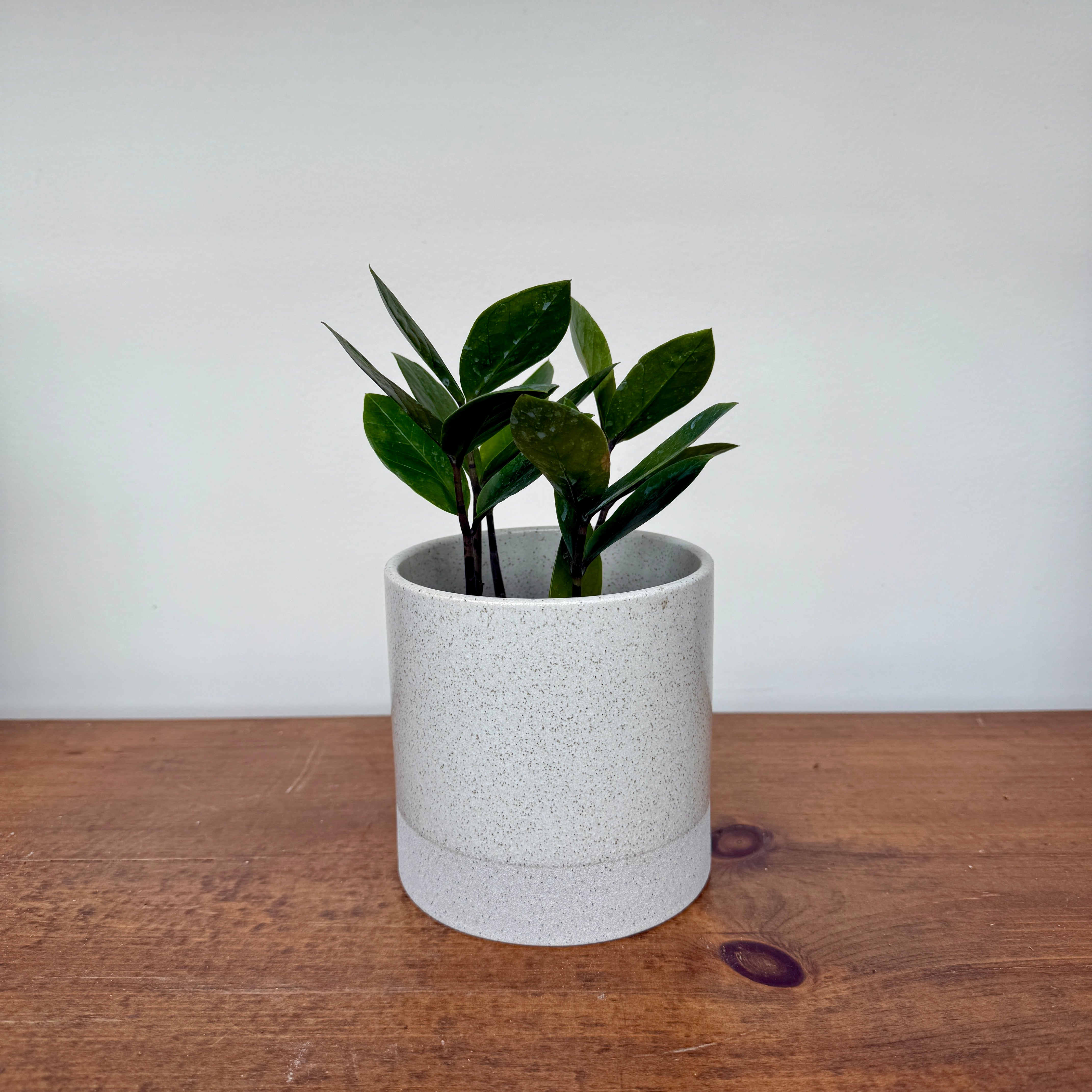 Downy Pot - 4.5" x 4.5"