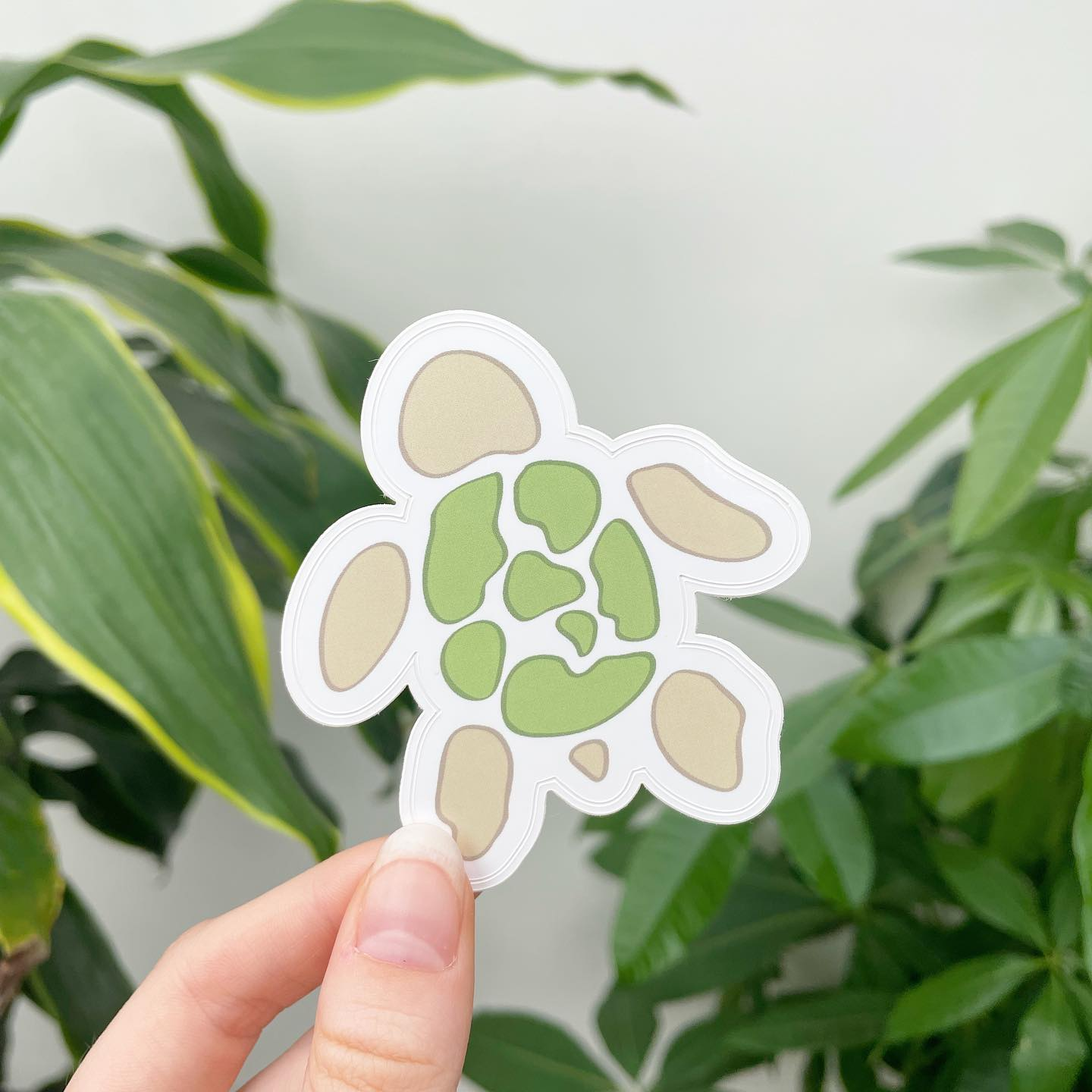 Aquatopia Turtle Logo Sticker