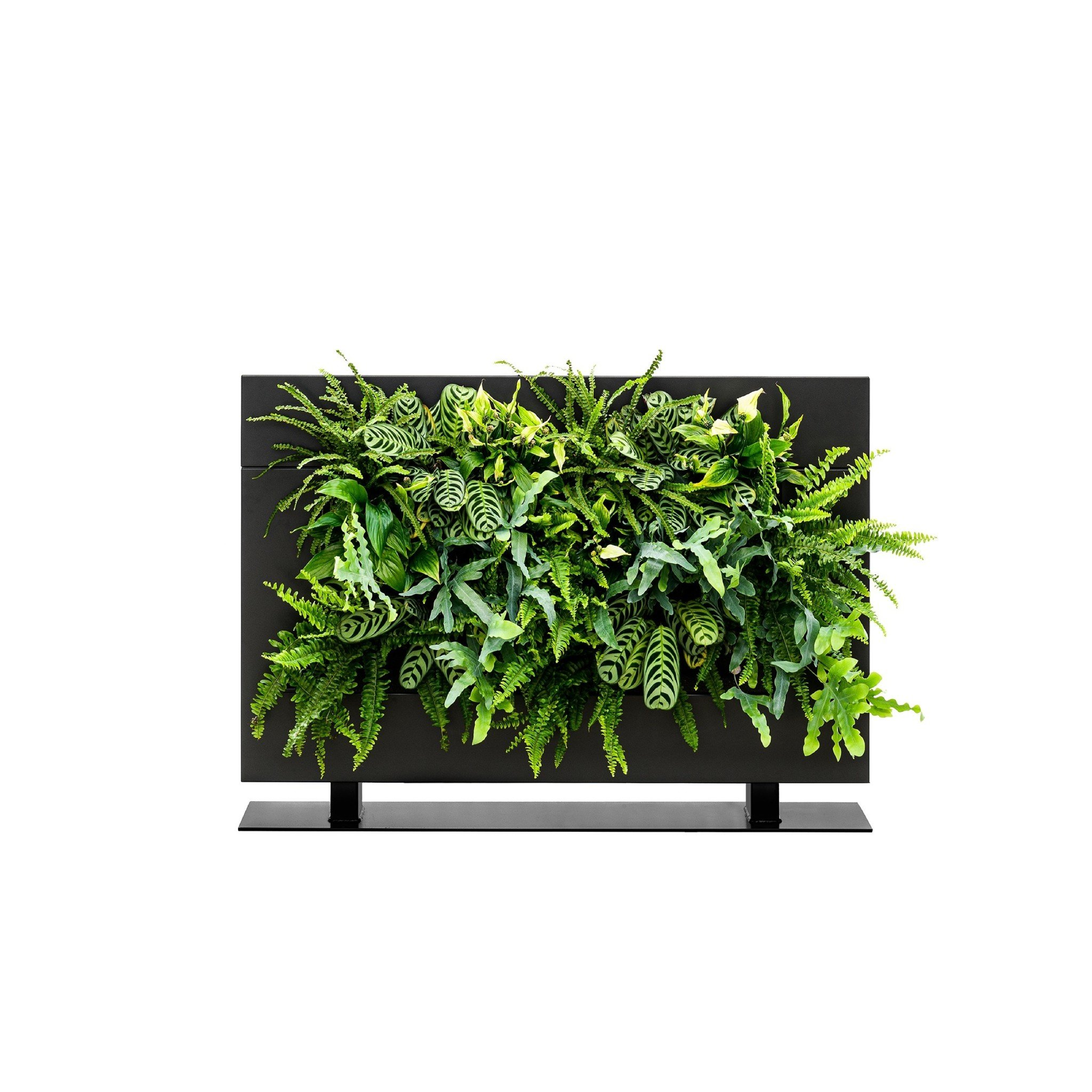 LiveDivider PLUS 1 - Black