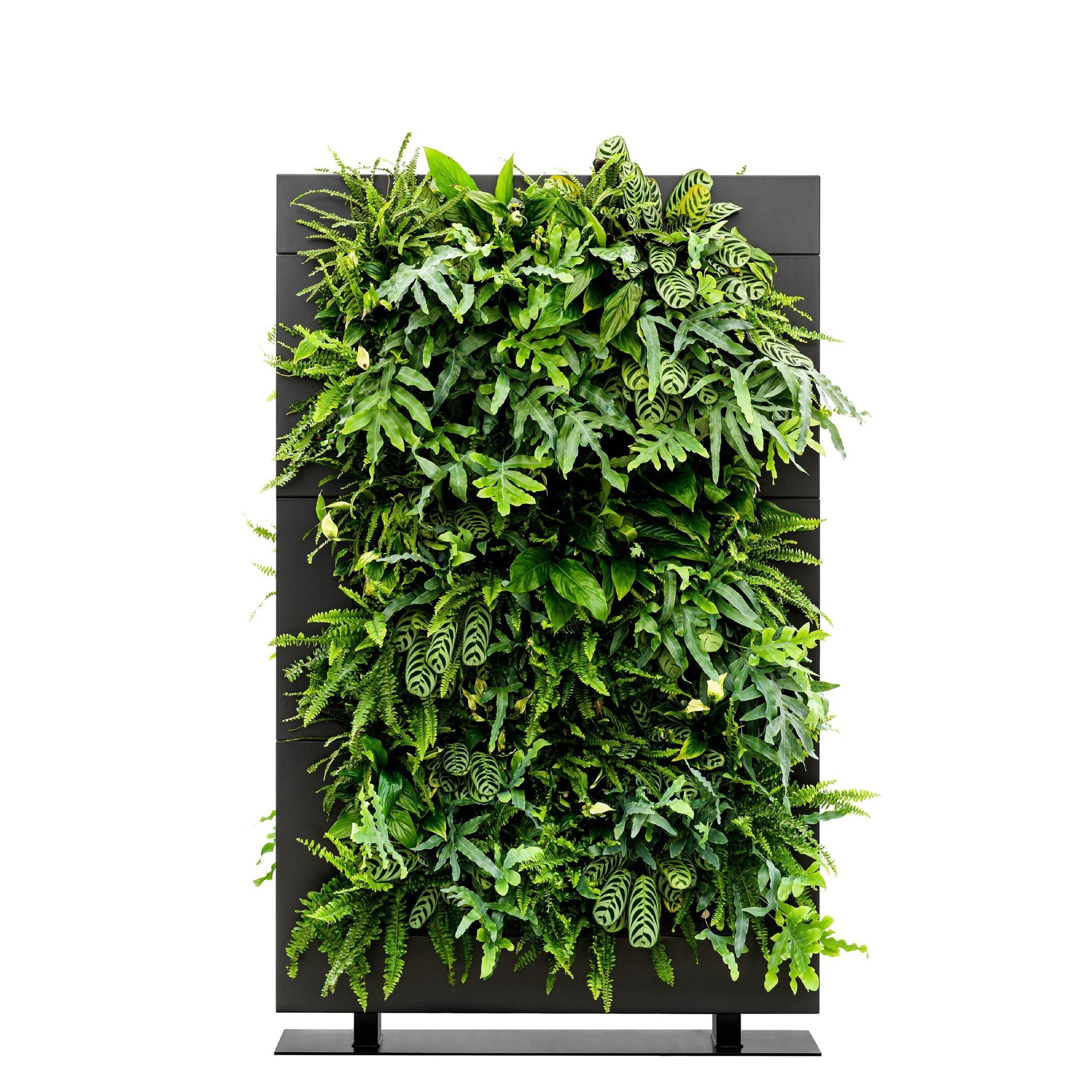 LiveDivider PLUS 3 - Black