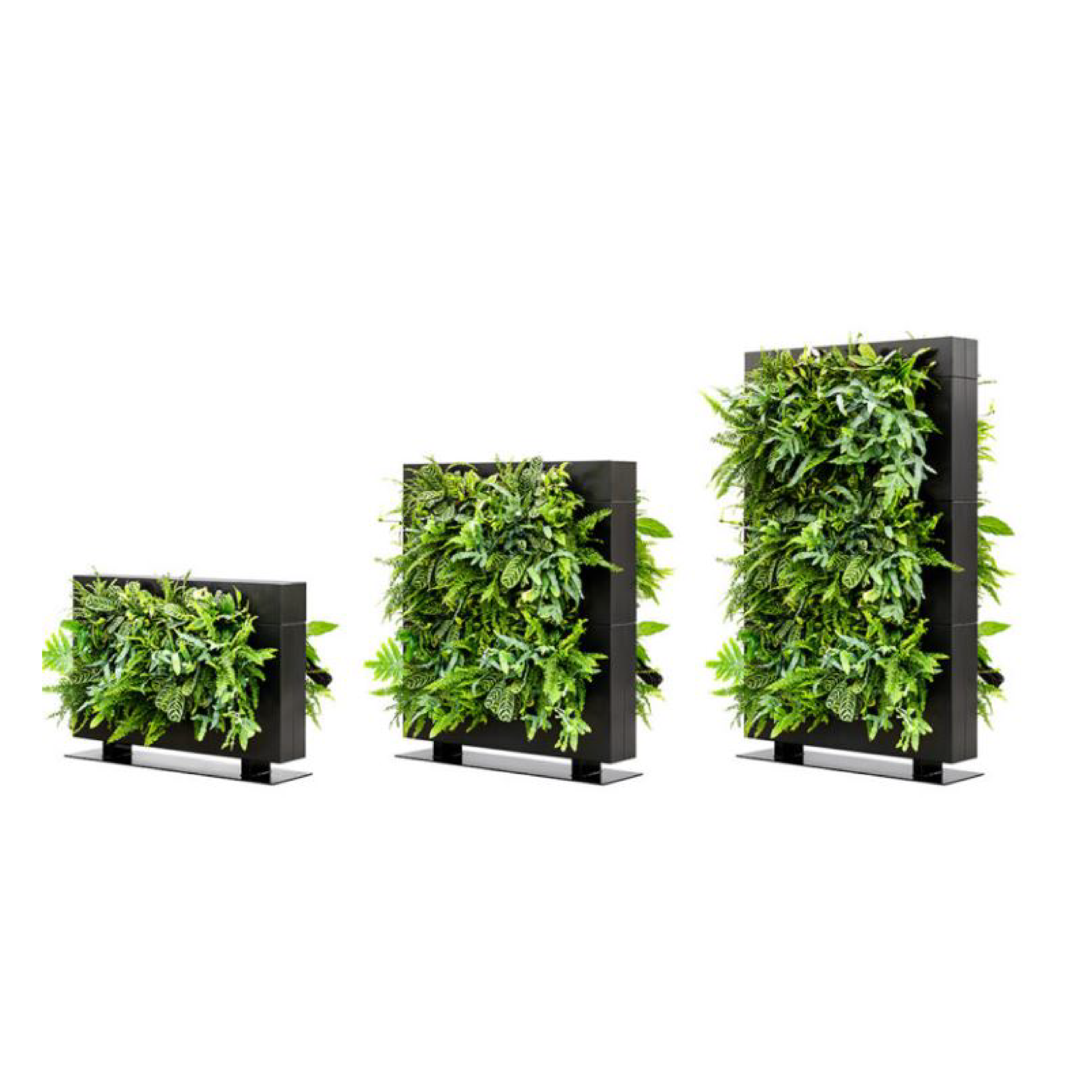 LiveDivider PLUS - Plus Module - Black