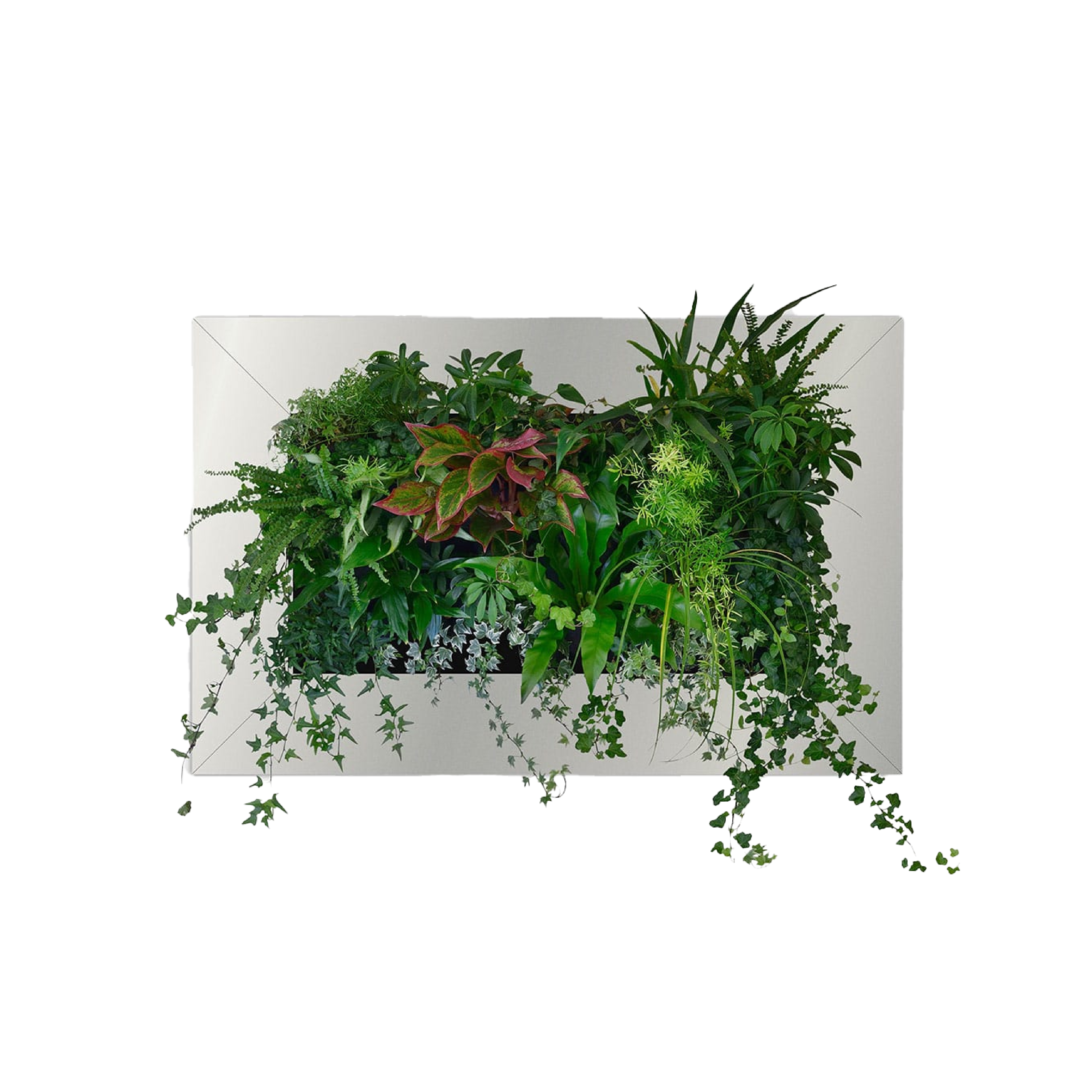 LivePicture 2 - Silver