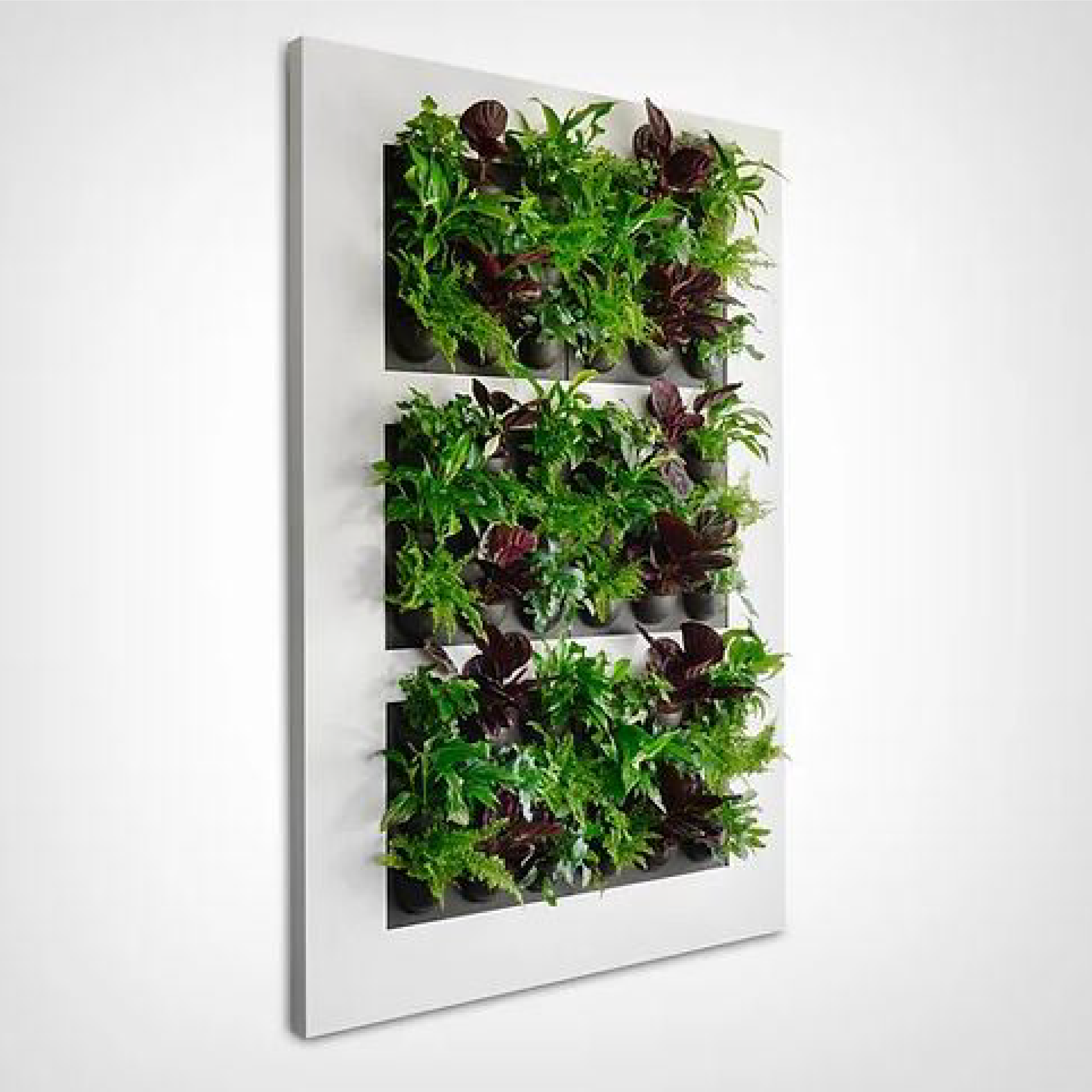 LivePicture XL - Silver