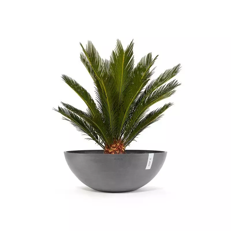 Ecopots Vienna (Image)