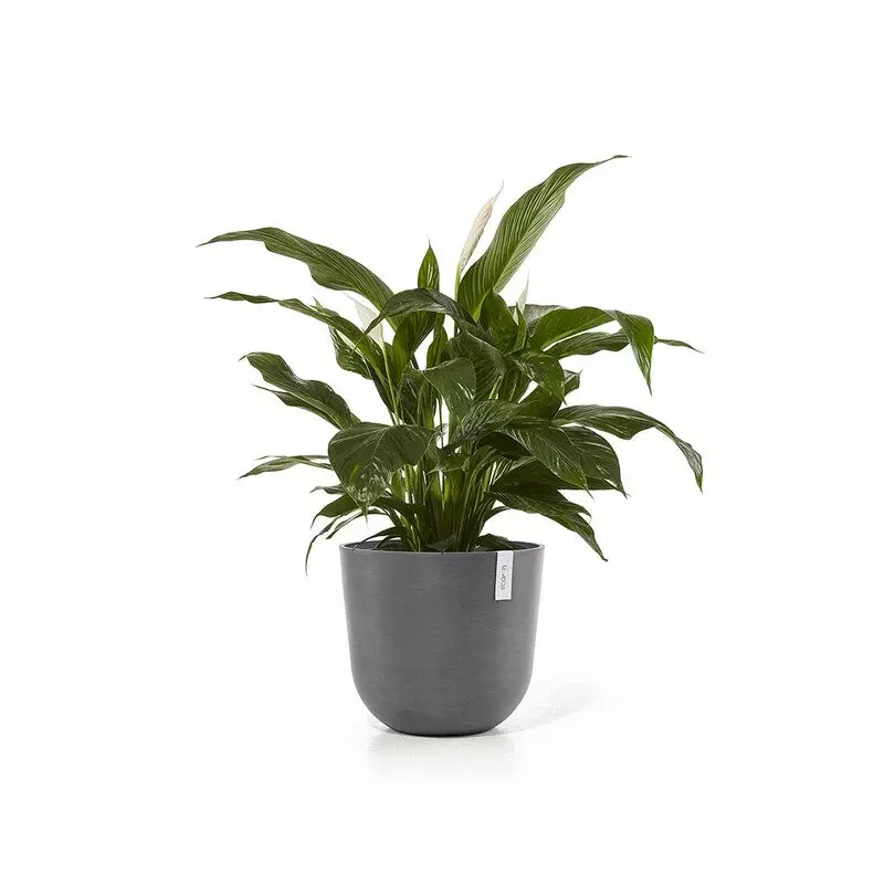 Ecopots Oslo (Image)