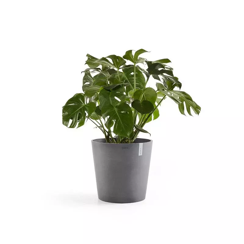 Ecopots Amsterdam (Image)