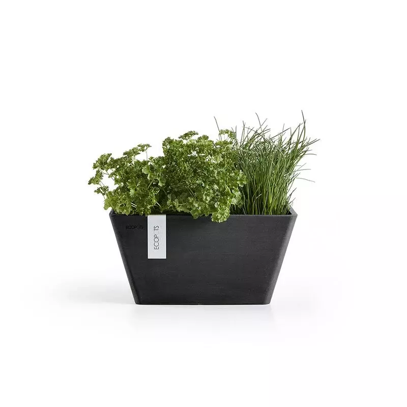 Ecopots Berlin (Image)