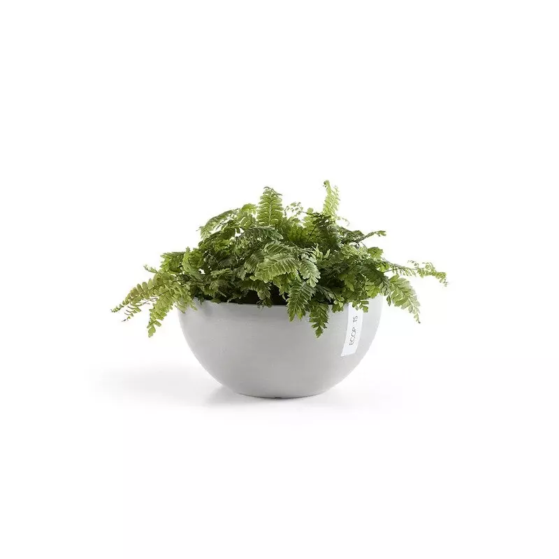 Ecopots Brussels (Image)