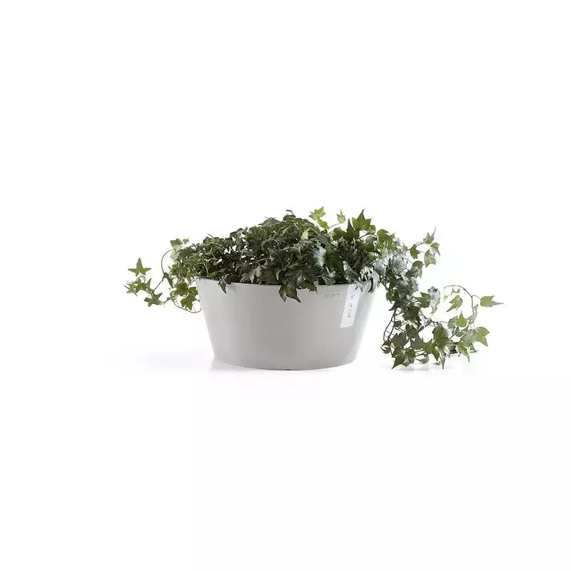 Ecopots Frankfurt (Image)