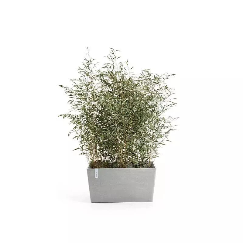 Ecopots Paris (Image)