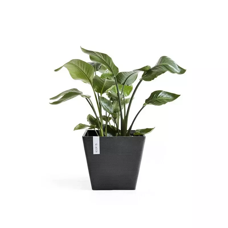 Ecopots Rotterdam (Image)
