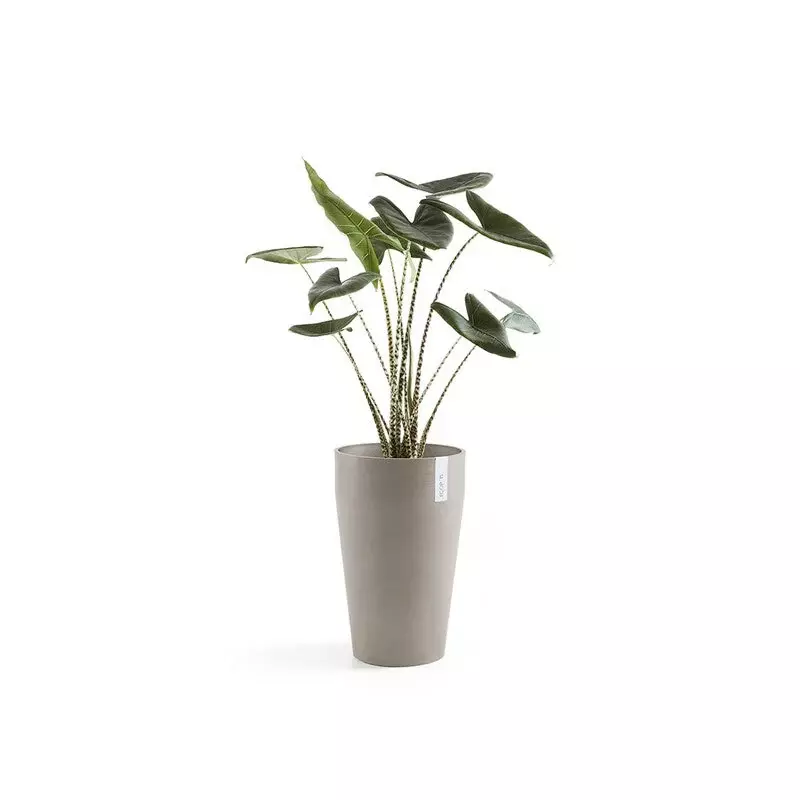 Ecopots Sankara (Image)