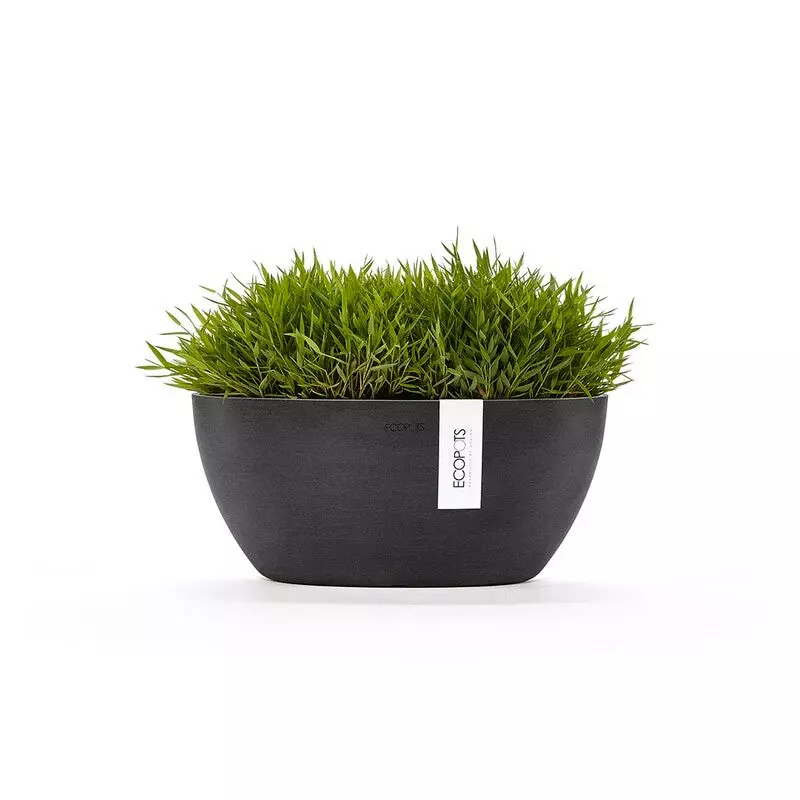 Ecopots Sofia (Image)