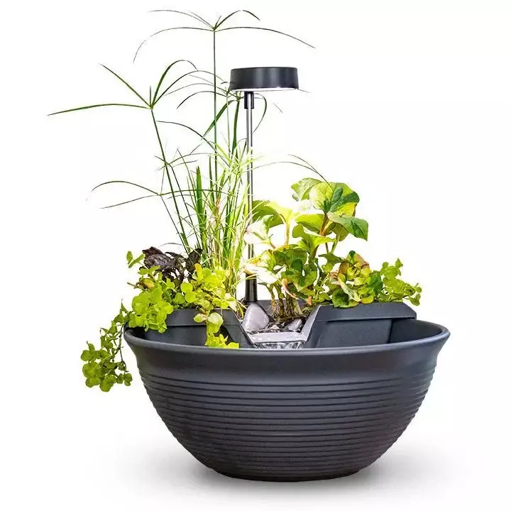 Tabletop Fountains & Mini Ponds (Image)