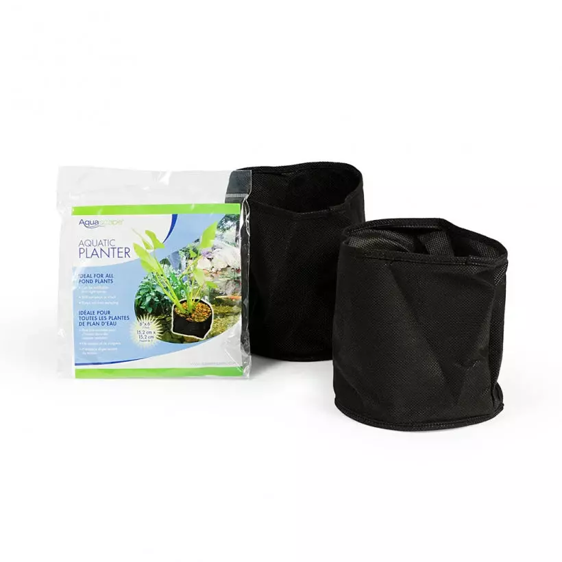 Plant Care (Image)