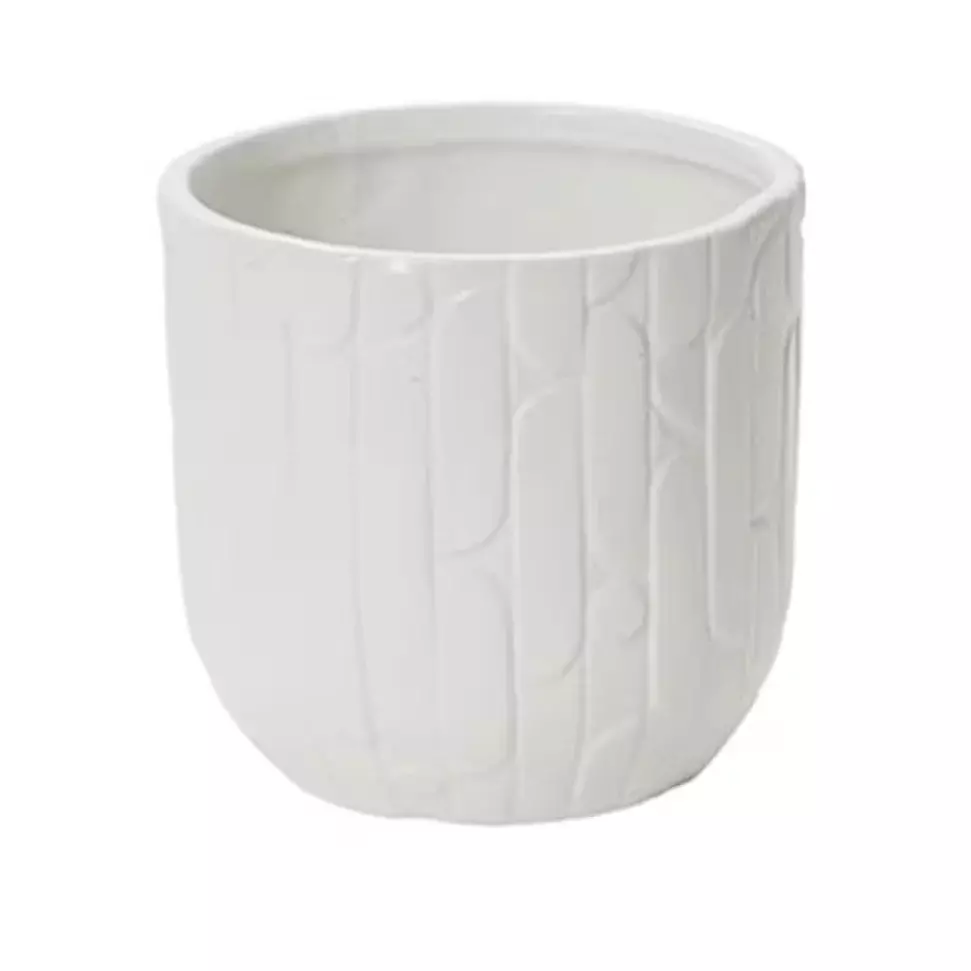 White Pots (Image)