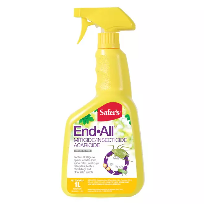 Pest Control (Image)