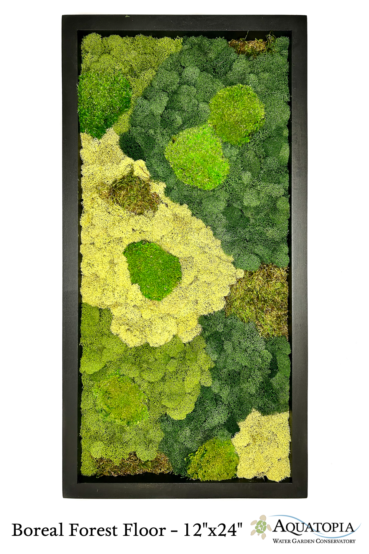 Framed Moss Wall 12" x 24"