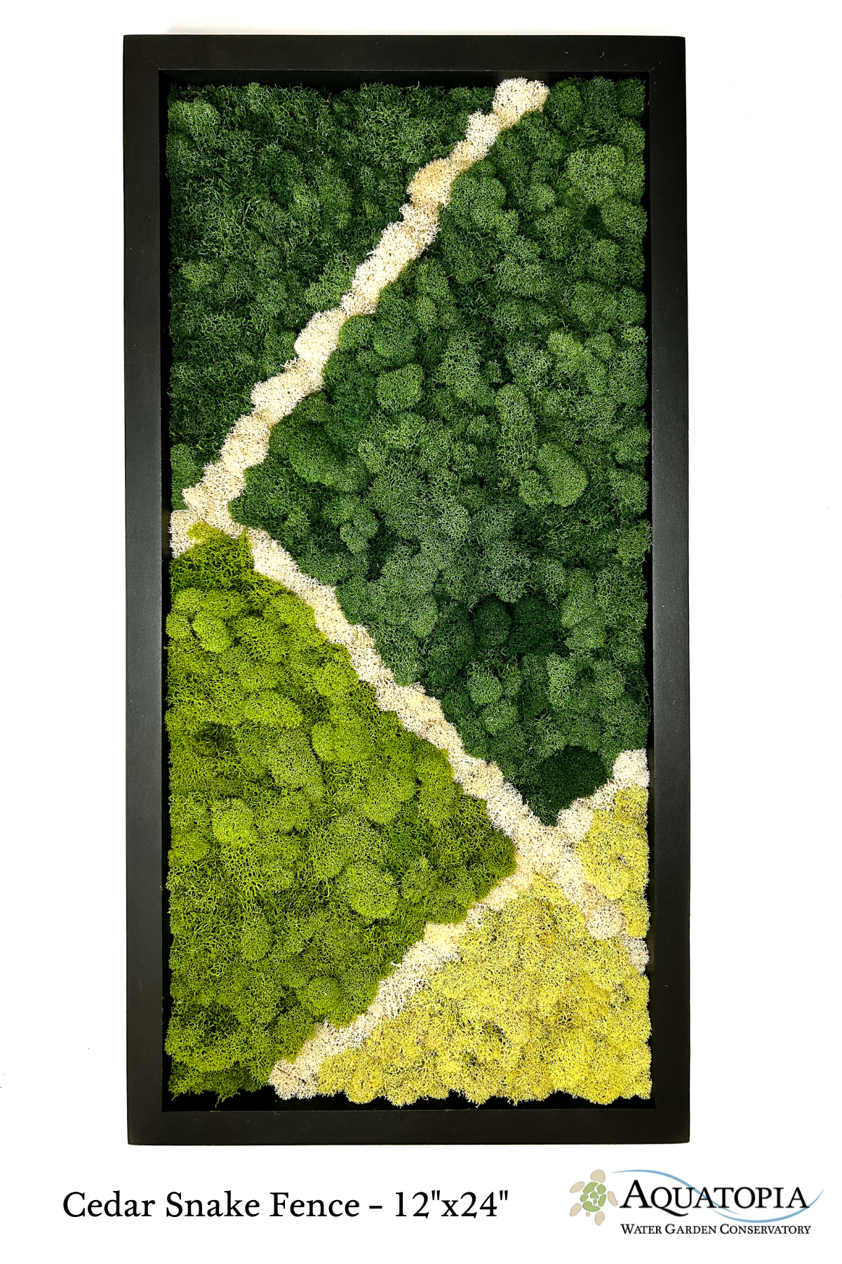 Framed Moss Wall 12" x 24"