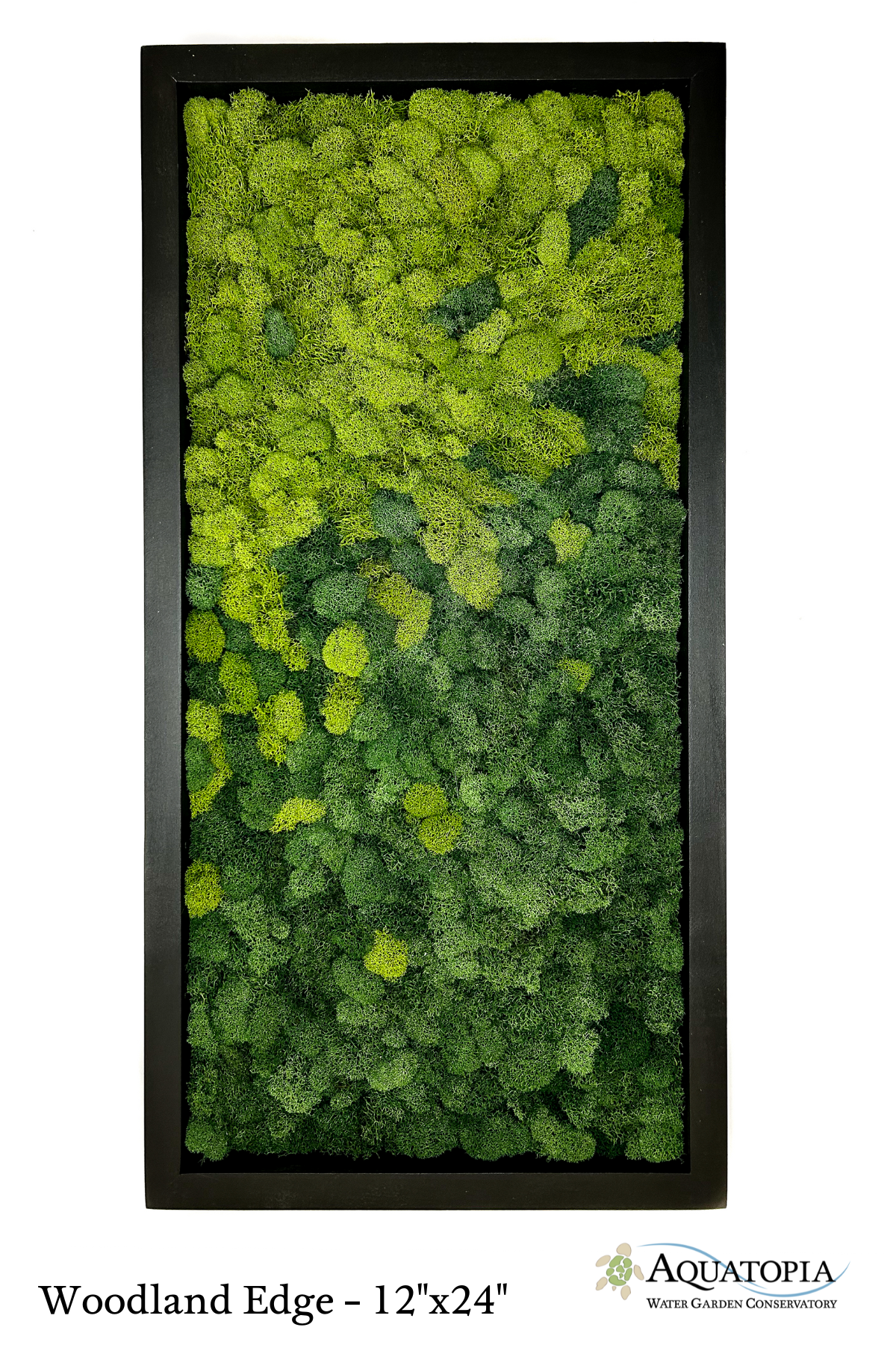 Framed Moss Wall 12" x 24"