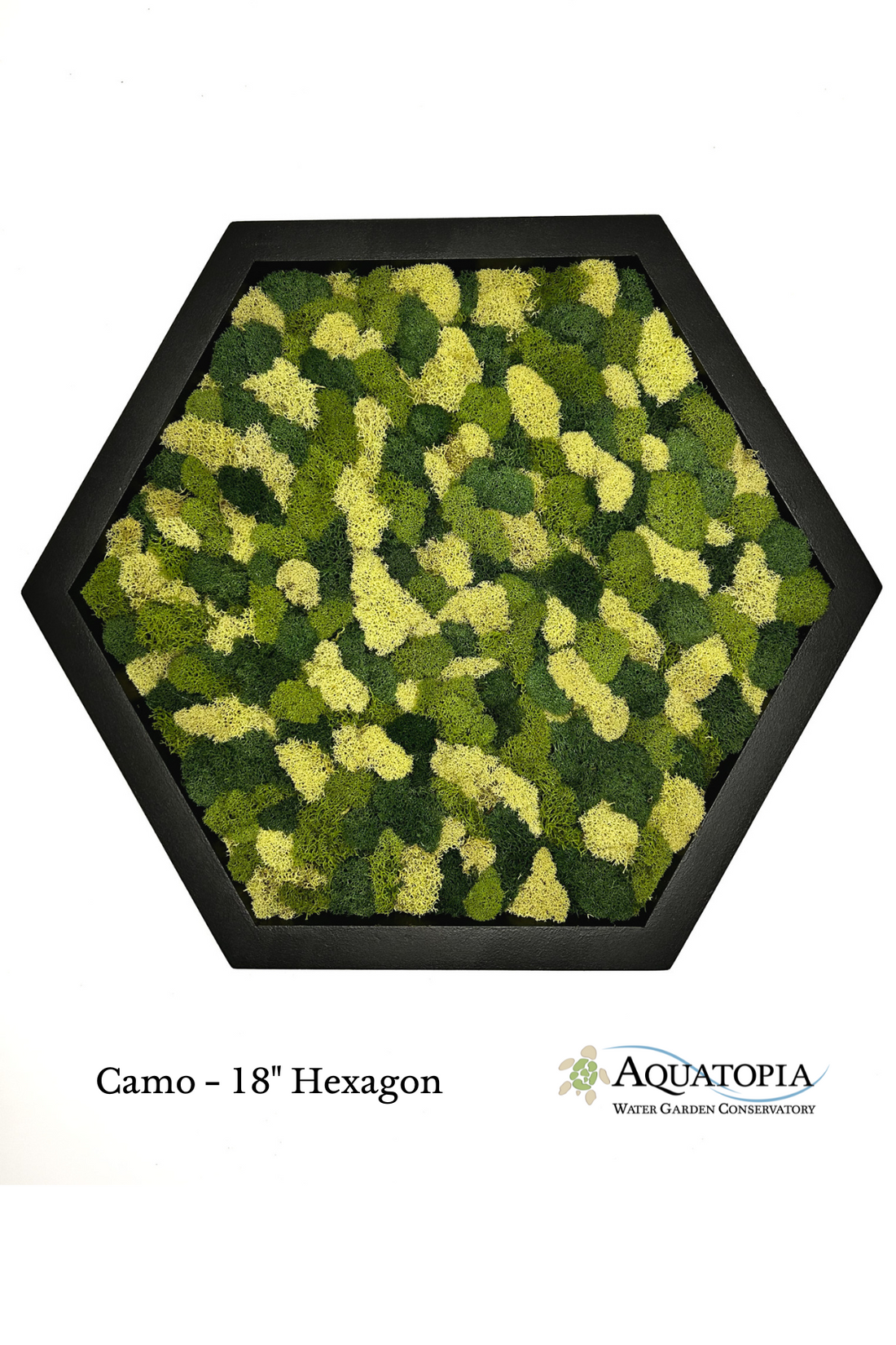 Framed Hexagon Moss Wall 18&quot;