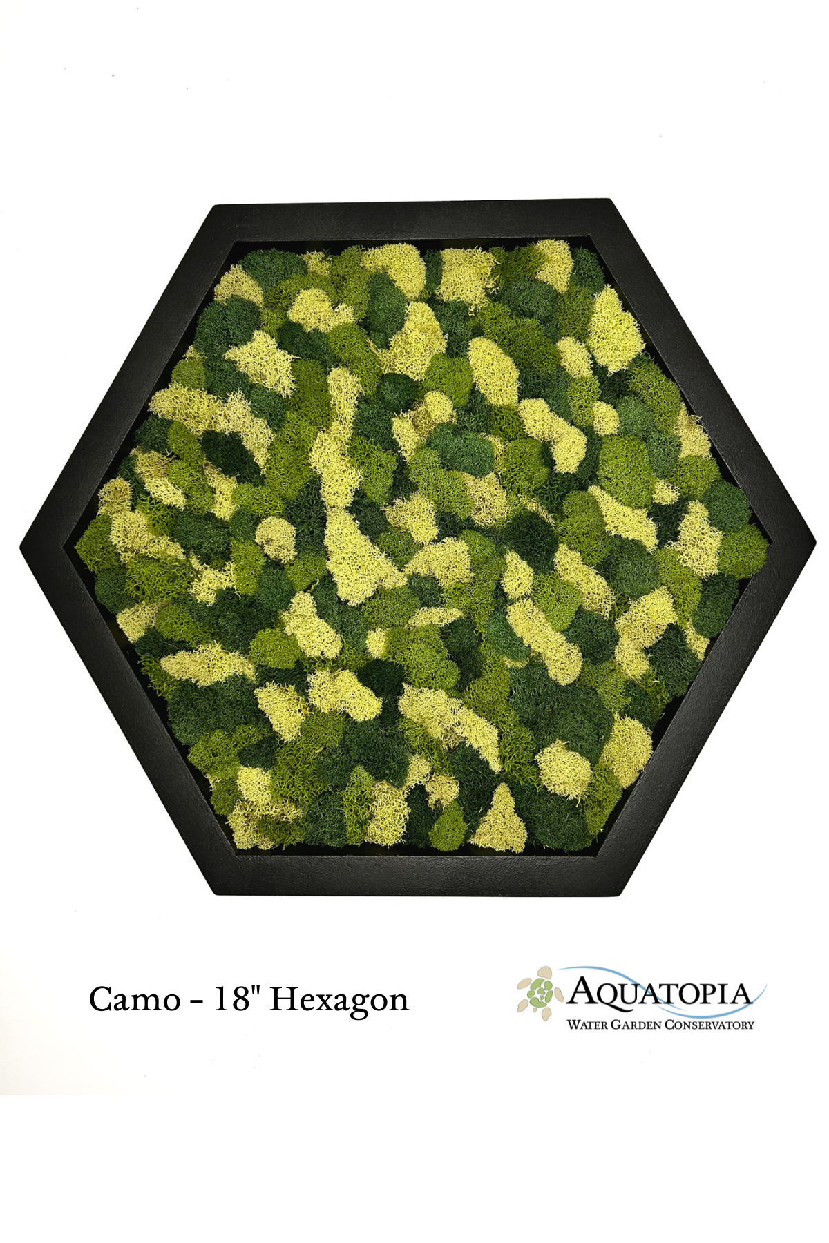 Framed Hexagon Moss Wall 18"