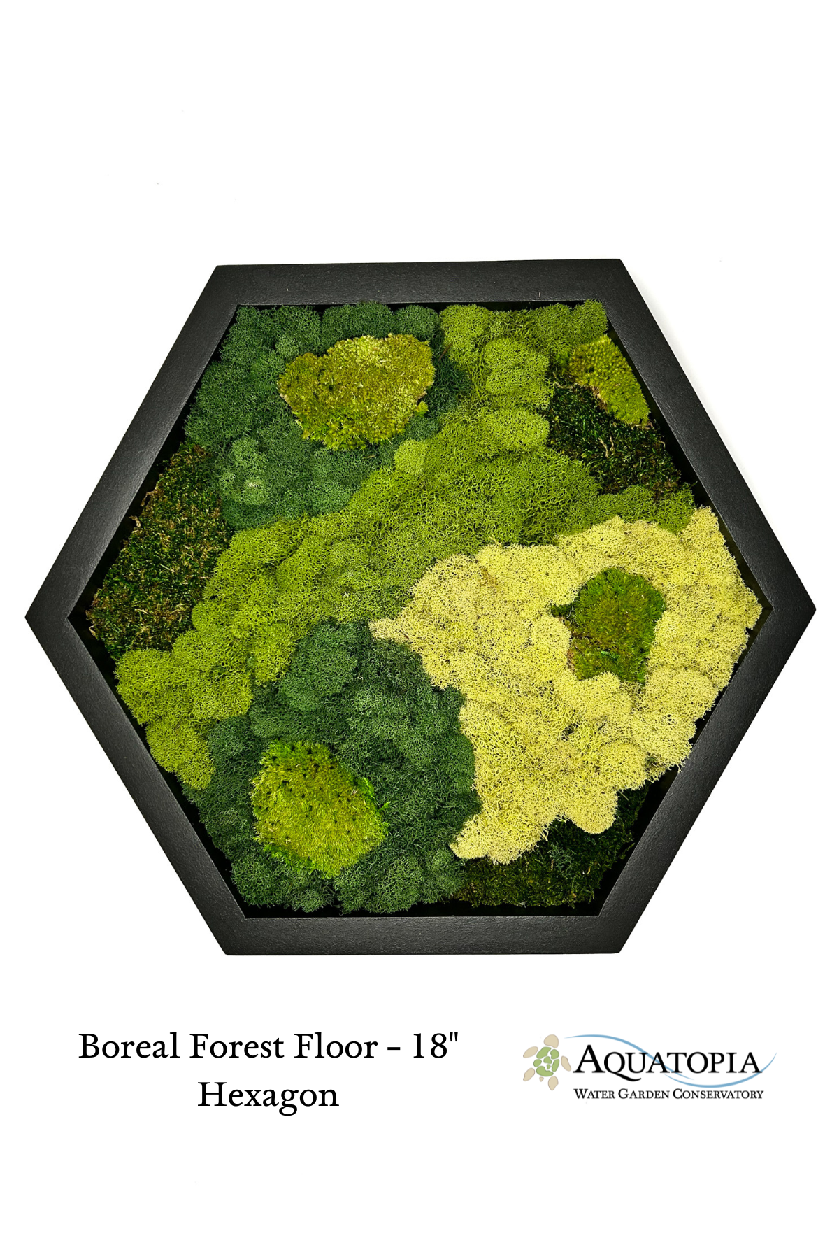 Framed Hexagon Moss Wall 18"