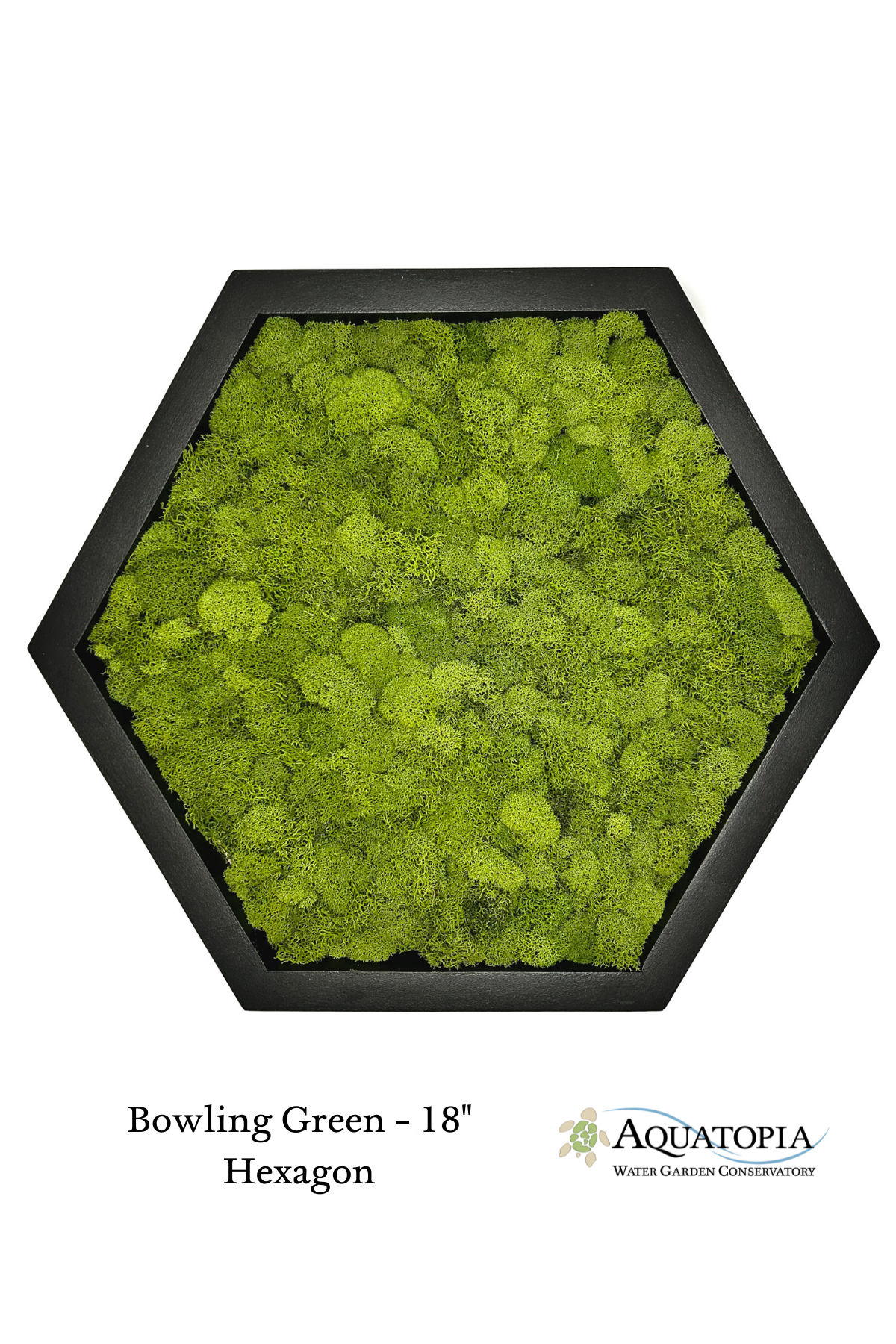 Framed Hexagon Moss Wall 18"