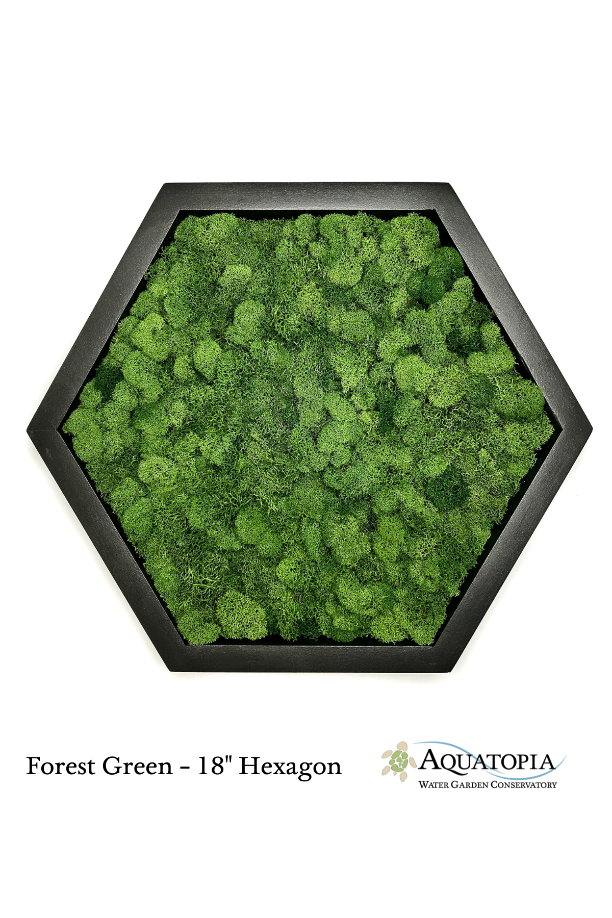 Framed Hexagon Moss Wall 18"