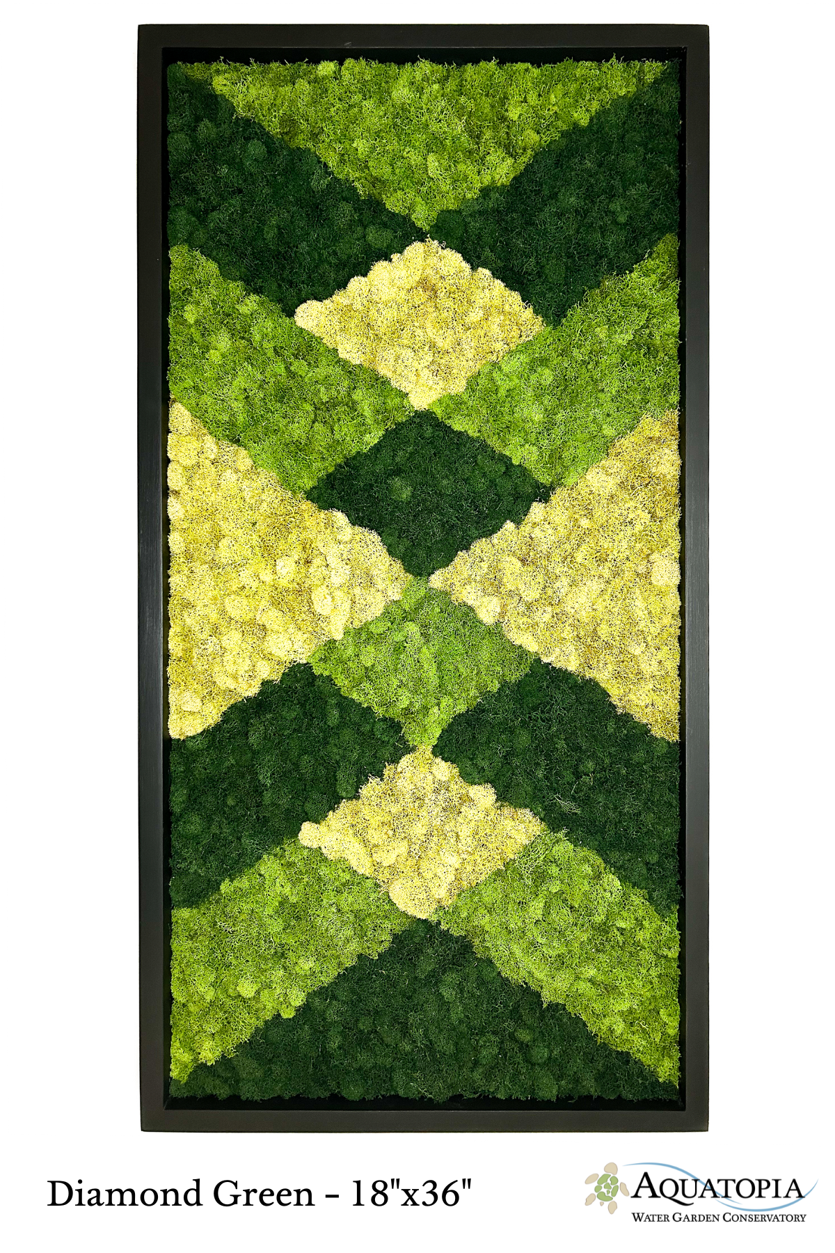 Framed Moss Wall 18" x 36"