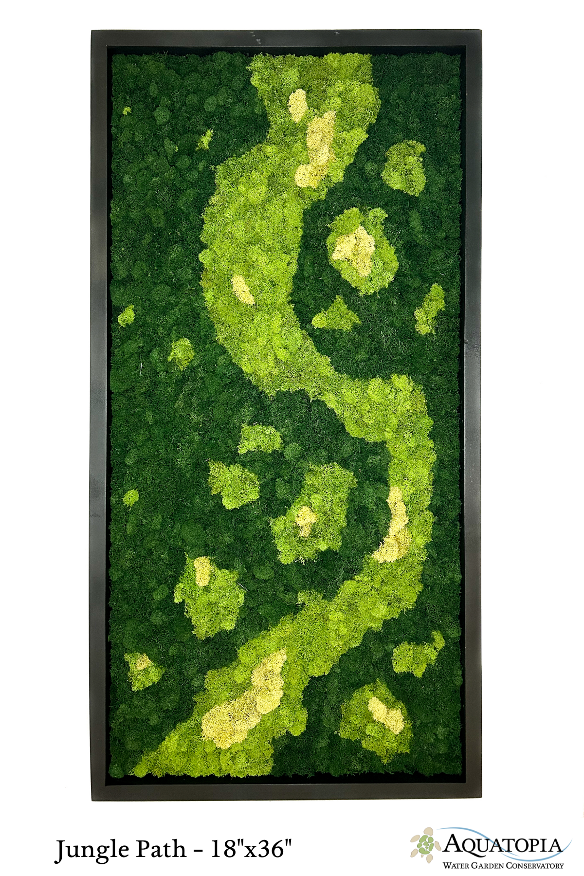 Framed Moss Wall 18" x 36"