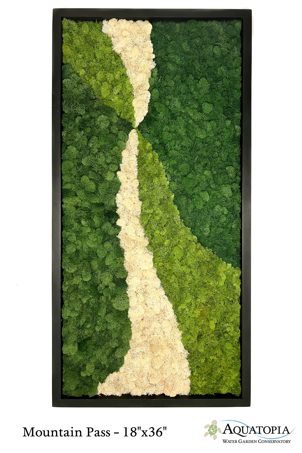 Framed Moss Wall 18" x 36"