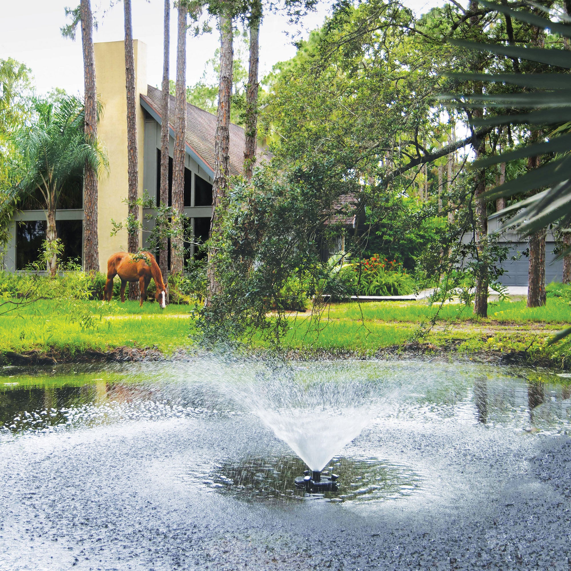 1/4 HP Floating Fountain w/ Lights