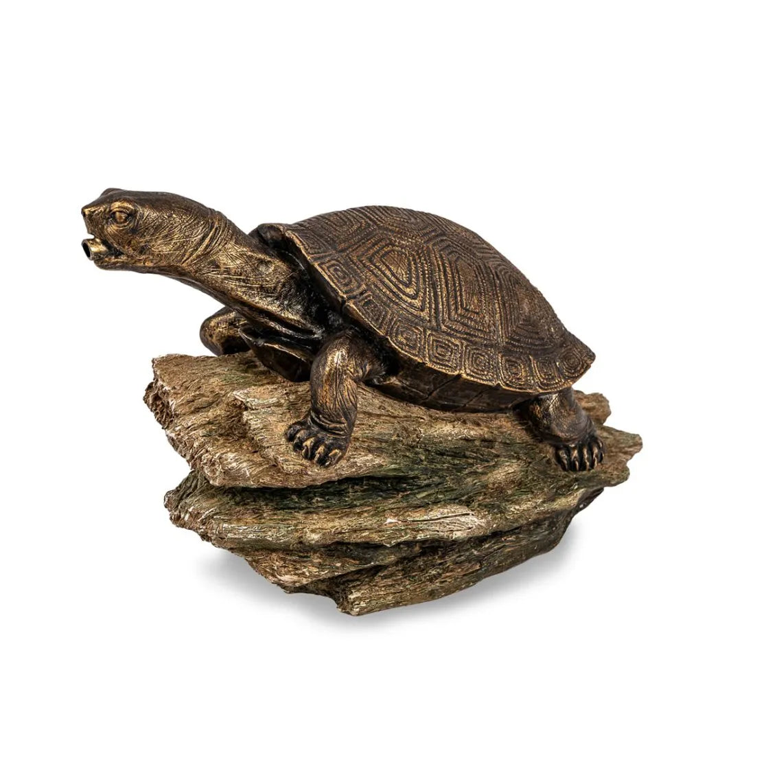 Turtle On A Log Spitter