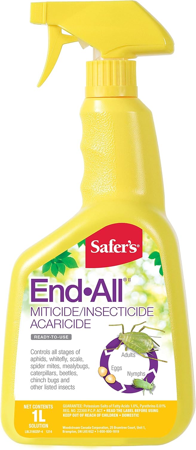 Safer's End-All