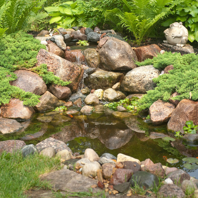 DIY Backyard Pond Kit