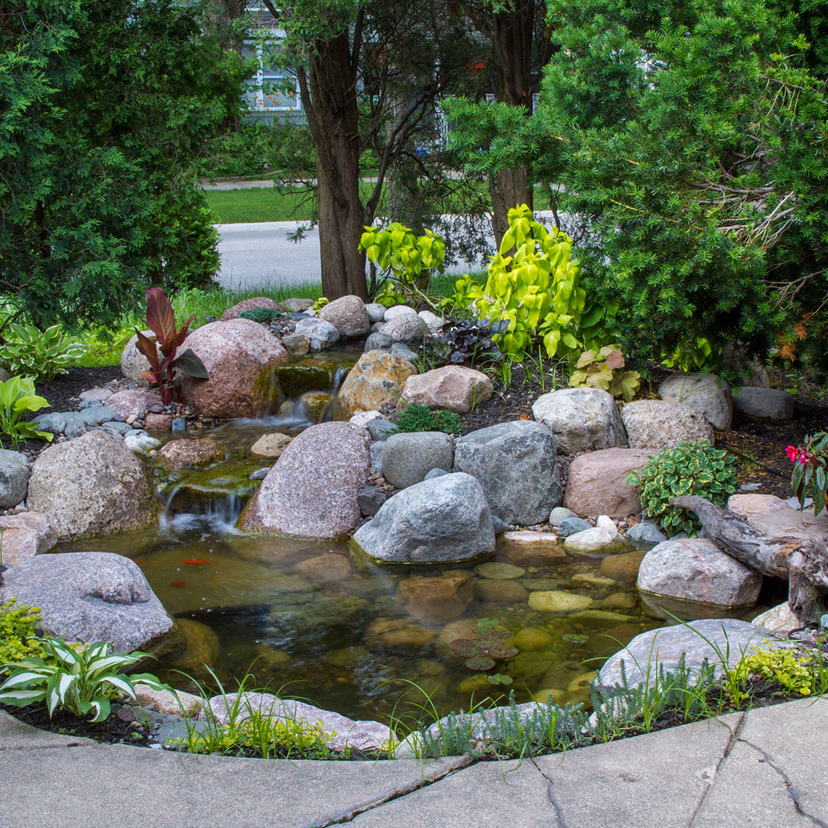 Small Pond Kit 8' x 11'