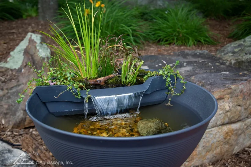 AquaGarden Mini Pond Kit