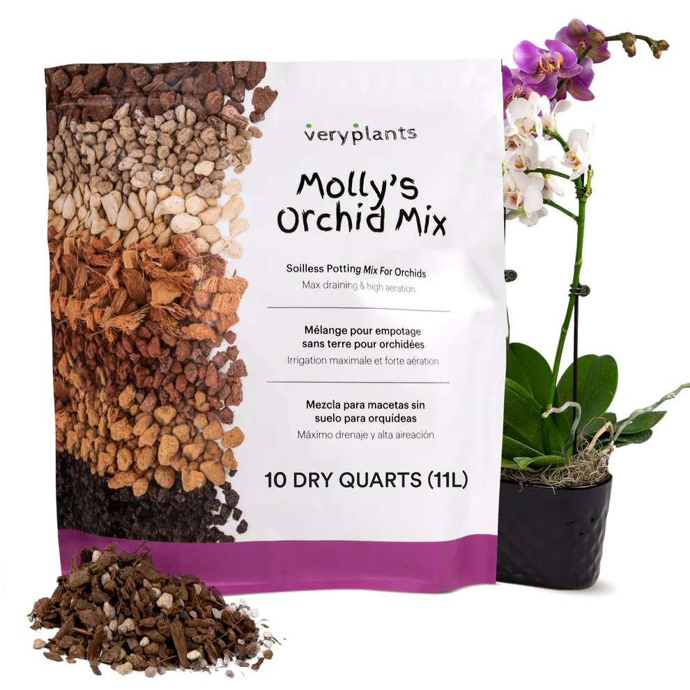 Molly's Orchid Mix - 11L