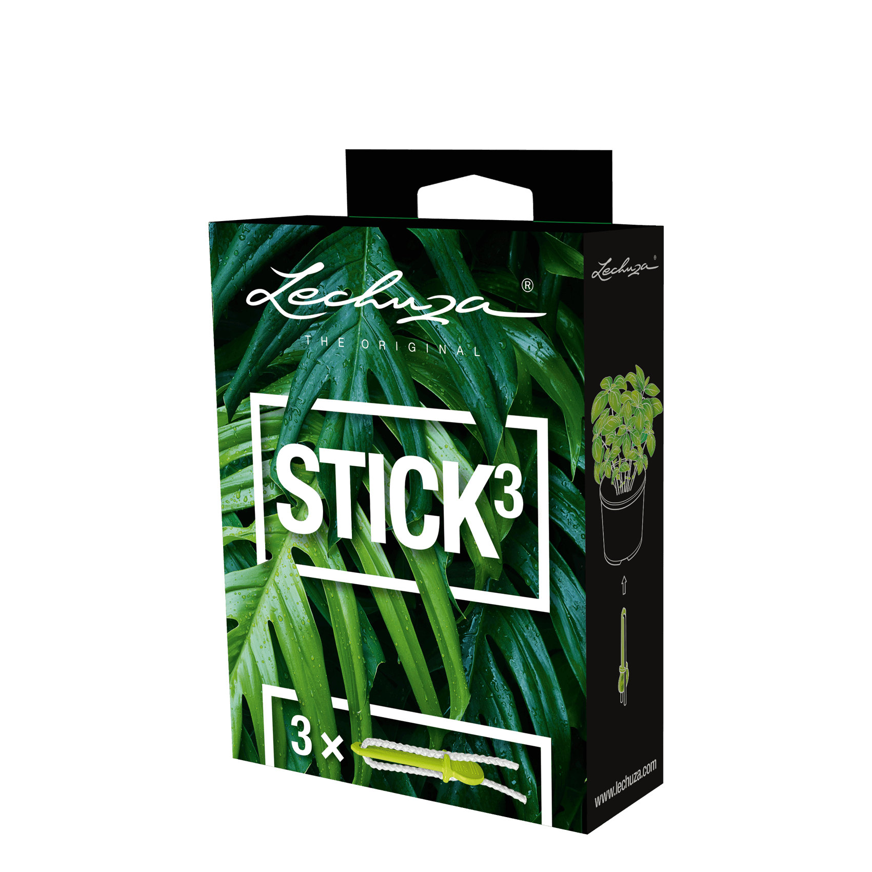 Watering Sticks (Set of 3)