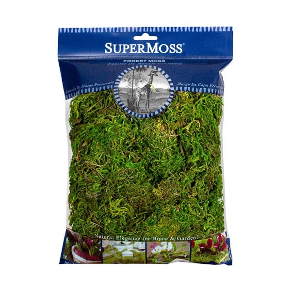 Super Moss - Preserved forest Moss