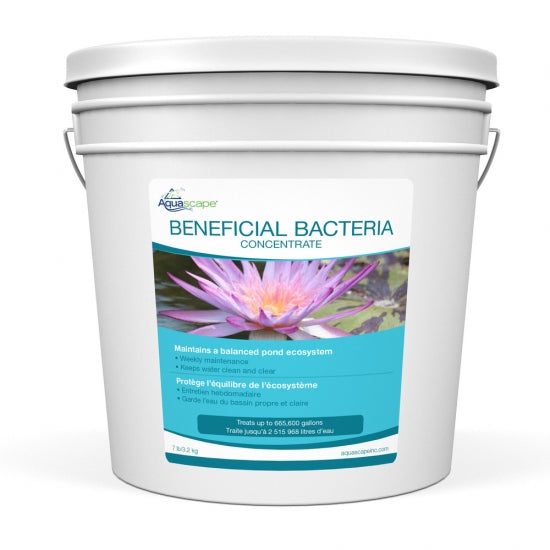Beneficial Bacteria Concentrate