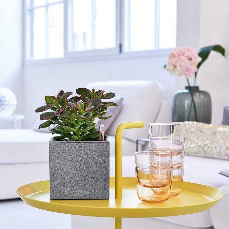 Lechuza Canto Stone 14 - All-in-One - Smart-Watering Planter