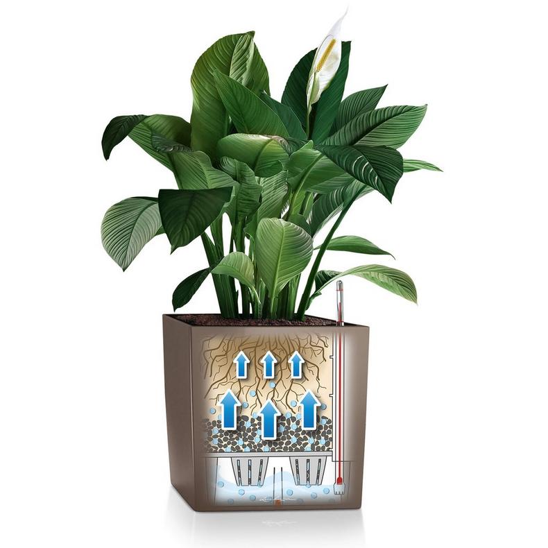 Lechuza CUBE Premium 40 - All-In-One - Smart-Watering Planter