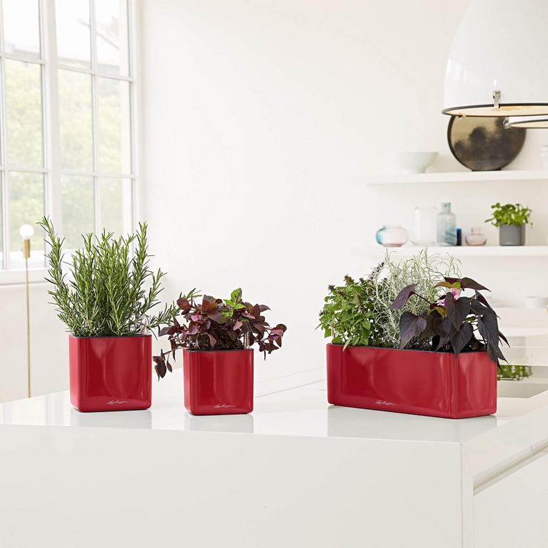 Lechuza CUBE Glossy Triple - All-in-One - Smart-Watering Planter